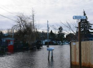 Flood in Whatcom County November 2021